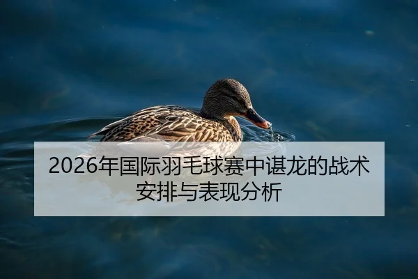 2026年国际羽毛球赛中谌龙的战术安排与表现分析