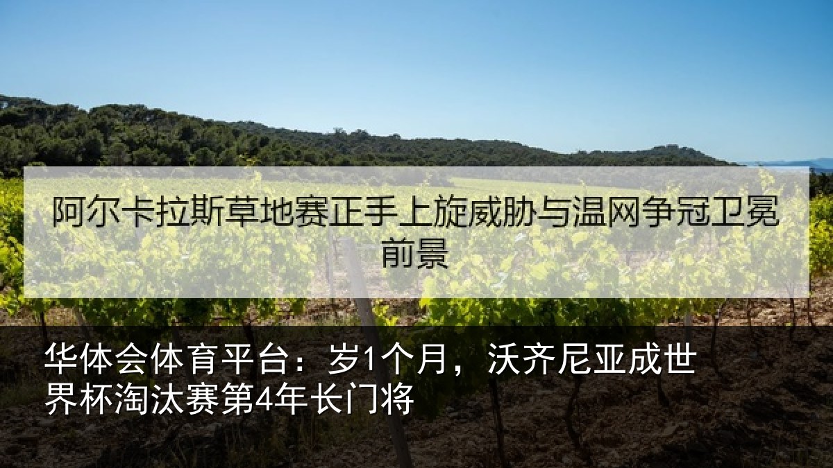 华体会体育平台:岁个相关情况杯淘汰赛第4年长门将