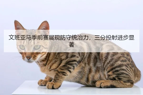 文班亚马季前赛展现防守统治力，三分投射进步显著