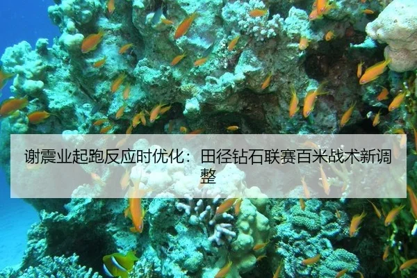 xie-zhen-ye-qi-pao-fan-ying-shi-you-hua-tian-jing-zuan-shi-lian-sai-bai-mi-zhan-shu-xin-tiao-zheng-3-910.jpg