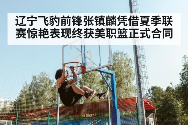 辽宁飞豹前锋张镇麟凭借夏季联赛惊艳表现终获美职篮正式合同